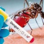 download 15 News Todayz प्रदेश में बढ़ रहे डेंगू के मरीज, देहरादून में सबसे अधिक है मरीजों की संख्या