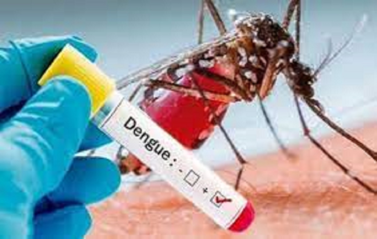 download 15 News Todayz प्रदेश में बढ़ रहे डेंगू के मरीज, देहरादून में सबसे अधिक है मरीजों की संख्या
