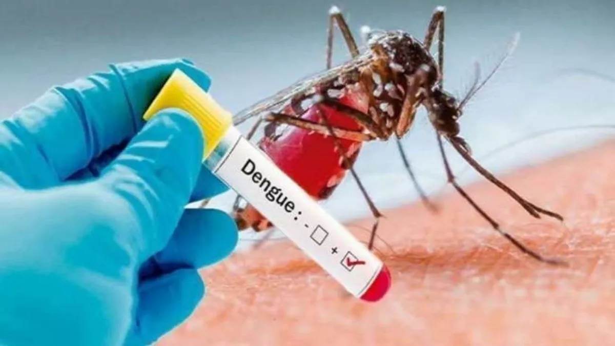07 11 2022 dengue 23187494 News Todayz उत्तराखण्ड में डेंगू ने पिछले पांच साल का रिकॉर्ड तोड़ा, देहरादून में डेंगू से 11 की मौत
