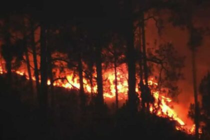 The forest of this district blazed with fire SDRF FOREST present in all departments 1 News Todayz Uttarakhand : प्रदेश में जंगल की आग बुझाने वाले को मिलेगा एक लाख तक इनाम, सरकार ने की इसकी पहल…