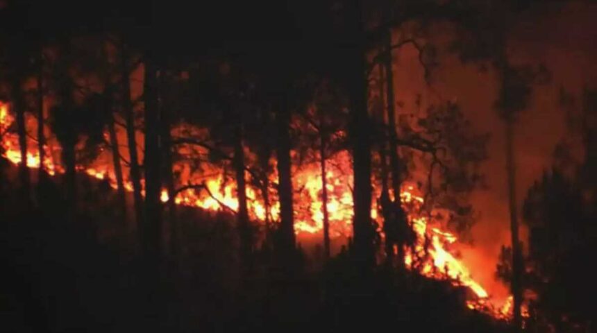 The forest of this district blazed with fire SDRF FOREST present in all departments 1 News Todayz Uttarakhand : प्रदेश में जंगल की आग बुझाने वाले को मिलेगा एक लाख तक इनाम, सरकार ने की इसकी पहल…
