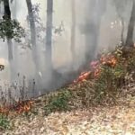 आग News Todayz उत्तराखंड में आग की लपटों में आ रहे जंगल, सरकार की प्लानिंग हो रही फेल…