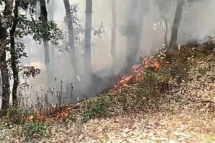 आग News Todayz उत्तराखंड में आग की लपटों में आ रहे जंगल, सरकार की प्लानिंग हो रही फेल…