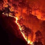 Uttarakhand Forest Fire 2024 pahadi khabarnama 1 News Todayz Uttarakhand Forest Fire: उत्तराखंड के जंगलो में विकराल हुई आग,86 हेक्टेयर जंगल हुए राख…