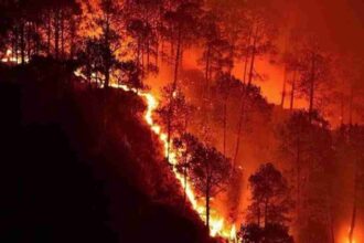 Uttarakhand Forest Fire 2024 pahadi khabarnama 1 News Todayz Uttarakhand Forest Fire: उत्तराखंड के जंगलो में विकराल हुई आग,86 हेक्टेयर जंगल हुए राख…