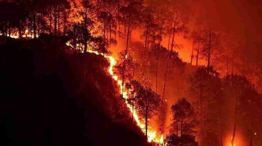 Uttarakhand Forest Fire 2024 pahadi khabarnama 1 News Todayz Uttarakhand Forest Fire: उत्तराखंड के जंगलो में विकराल हुई आग,86 हेक्टेयर जंगल हुए राख…