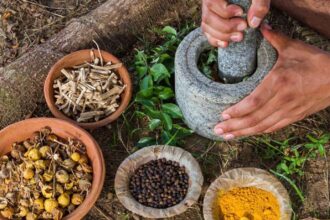 ayurveda e1734167020506 News Todayz अब अपनी भाषा में पढ़ सकेंगे आयुर्वेद को