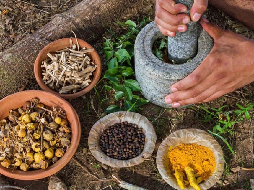 ayurveda e1734167020506 News Todayz अब अपनी भाषा में पढ़ सकेंगे आयुर्वेद को