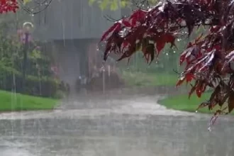 66fab63a5cb12 tripura imd issues yellow and orange alert for tripura heavy rainfall likely 303120181 16x9 1 News Todayz उत्तराखंड में मौसम विभाग का अलर्ट, कई जिलों में ऑरेंज व येलो अलर्ट जारी