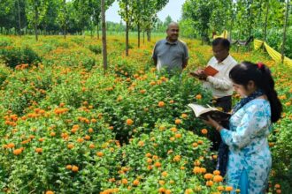 WhatsApp Image 2025 07 18 at 1.55.57 PM News Todayz ग्रामोत्थान (रीप) परियोजना ने ‘खुशी स्वयं सहायता समूह’ को बनाया लखपति