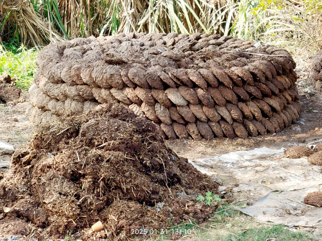 gobar energy News Todayz भारत पर अमेरिकी टैरिफ और ऊर्जा सुरक्षा- देवेंद्र कुमार बुडाकोटी