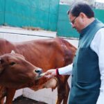WhatsApp Image 2025 10 22 at 11.28.55 AM News Todayz मुख्यमंत्री धामी ने गोवर्धन पूजा के अवसर पर सीएम आवास में किया गौ पूजन