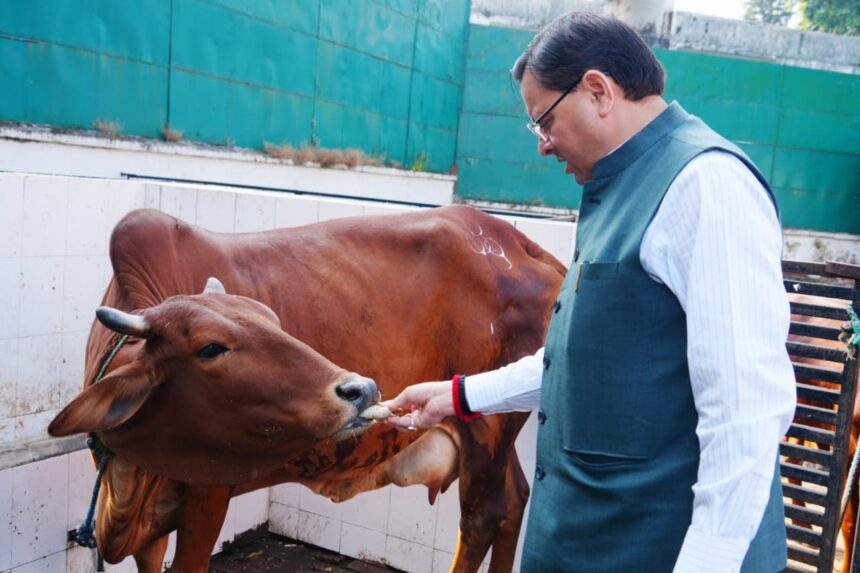 WhatsApp Image 2025 10 22 at 11.28.55 AM News Todayz मुख्यमंत्री धामी ने गोवर्धन पूजा के अवसर पर सीएम आवास में किया गौ पूजन