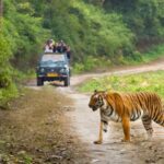 carbet News Todayz होली पर तीन और चार मार्च को बंद रहेंगे कॉर्बेट के सभी पर्यटन जोन