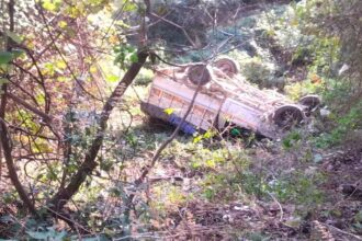 d 2 News Todayz खाई में गिरा वाहन पांच गंभीर