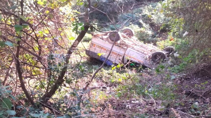 d 2 News Todayz खाई में गिरा वाहन पांच गंभीर