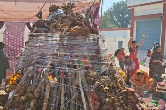 d 2 News Todayz महिलाओं ने हालिका दहन से पहले किया पूजन