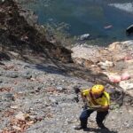 d 3 1 News Todayz पिकअप नदी में समाई,चालक की मौत