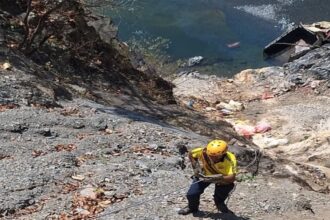 d 3 1 News Todayz पिकअप नदी में समाई,चालक की मौत