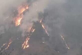 d 4 2 News Todayz थराली के जंगलों में लगी भीषण आग, आग बुझाने में वन विभाग के छूट रहे पसीने