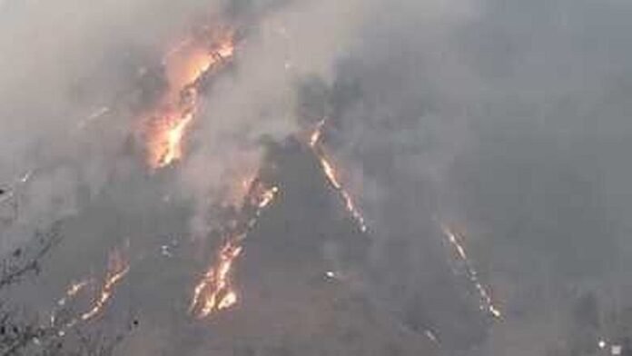 d 4 2 News Todayz थराली के जंगलों में लगी भीषण आग, आग बुझाने में वन विभाग के छूट रहे पसीने