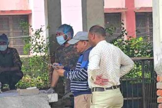 d 5 1 News Todayz नदी में तैरता मिला हाथी के बच्चे का शव