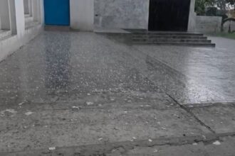 d 5 4 2 News Todayz बेमौसमी बारिश और ओलावृष्टि से गेहंू की फसल को भारी नुकसान की आशंका