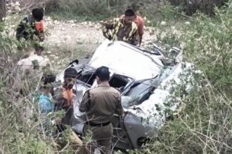 d 5 9 News Todayz खाई में गिरी कार,चालक की मौत