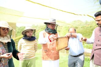 d 6 News Todayz उत्तराखण्ड में मौन पालन की अपार संभावनाएंः सीएम धामी