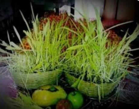 images 39 News Todayz मुख्यमंत्री ने दी प्रदेशवासियों को हरेला पर्व की शुभकामना